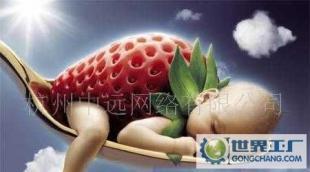 网站设计,网站托管,网站装修,维护推广服务,赠送域名_二手设备转让_世界工厂网中国产品信息库