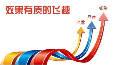 如何进行网店推广