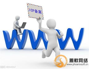 动态网站建设 凤软网络