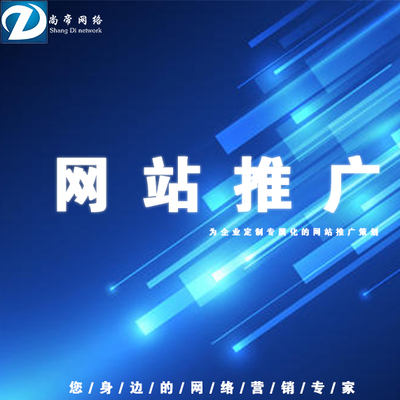 山东网站运营价格