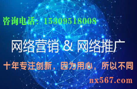 银川网络推广哪家专业 宁夏网络推广哪家最好 宁夏网络推广多少钱 宁夏网站开发多少钱 高清图片 高清大图