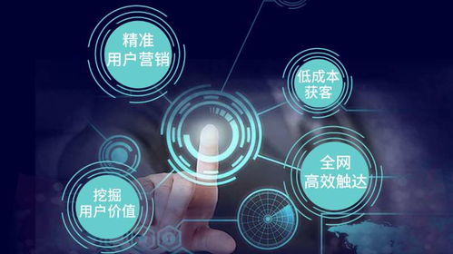 网站优化排名 合肥网络推广哪家可靠