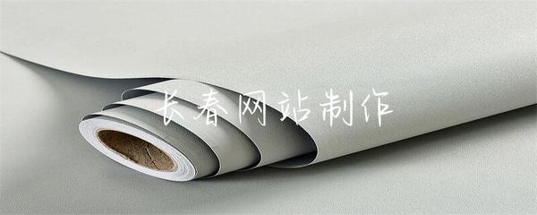 长春网站制作