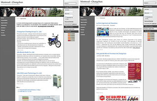 数字丝路新篇 法国蒙特勒依市与长春市深化经贸合作，共绘网站建设新蓝图